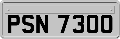 PSN7300