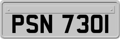 PSN7301