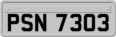 PSN7303