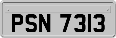PSN7313