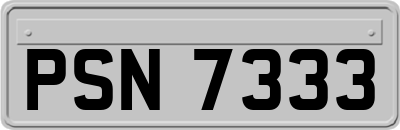 PSN7333