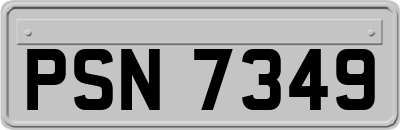 PSN7349