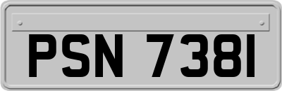 PSN7381