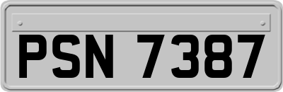 PSN7387