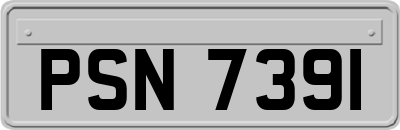 PSN7391