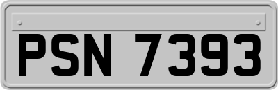 PSN7393