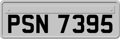 PSN7395