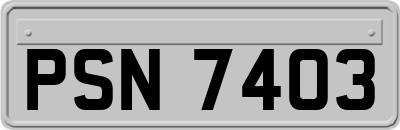 PSN7403