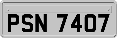 PSN7407