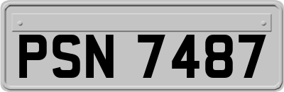 PSN7487