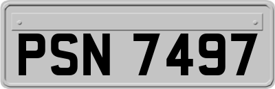PSN7497