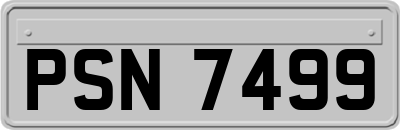 PSN7499