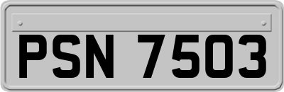PSN7503