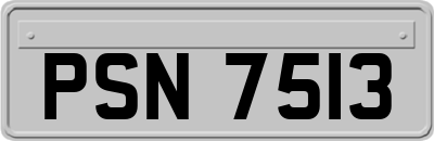 PSN7513