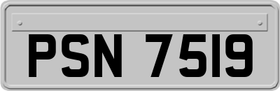 PSN7519