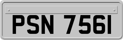 PSN7561