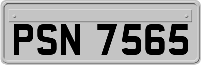 PSN7565