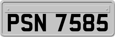 PSN7585
