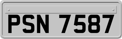 PSN7587