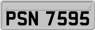 PSN7595