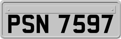 PSN7597
