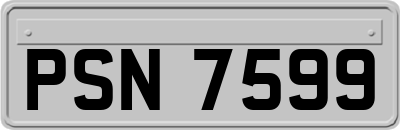 PSN7599
