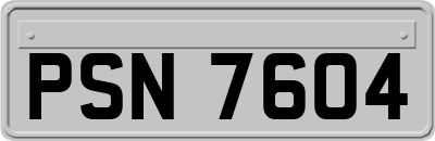 PSN7604