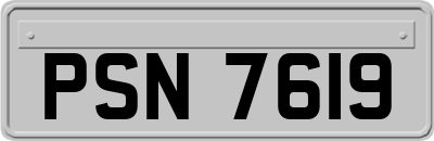 PSN7619