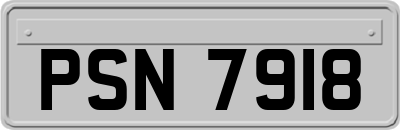 PSN7918
