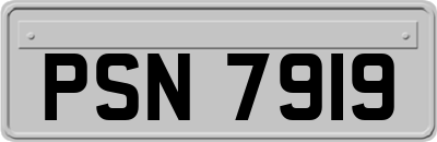 PSN7919