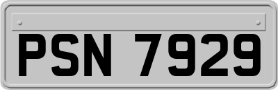 PSN7929