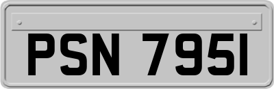 PSN7951