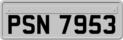 PSN7953
