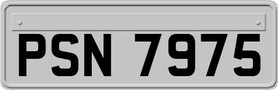 PSN7975
