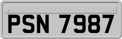 PSN7987