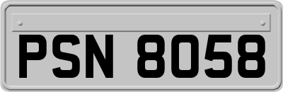PSN8058