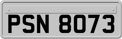 PSN8073