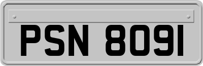 PSN8091