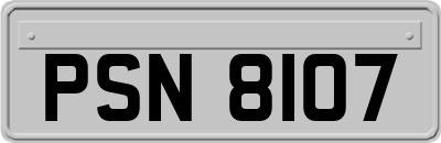 PSN8107
