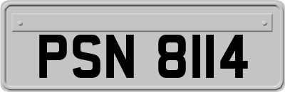 PSN8114