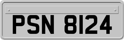 PSN8124