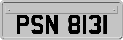 PSN8131