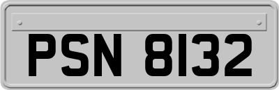 PSN8132