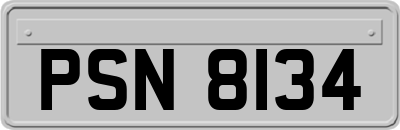 PSN8134
