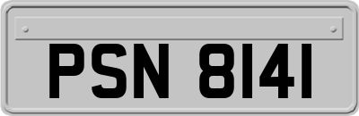PSN8141