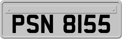 PSN8155