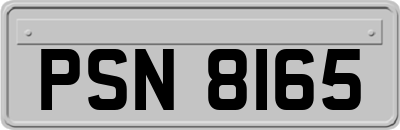 PSN8165