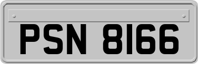 PSN8166