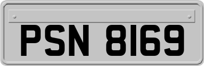 PSN8169