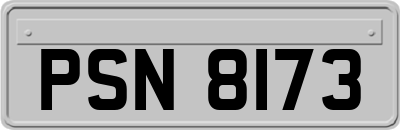 PSN8173